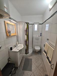 SotinKuća za odmor Bella的带马桶和水槽的浴室