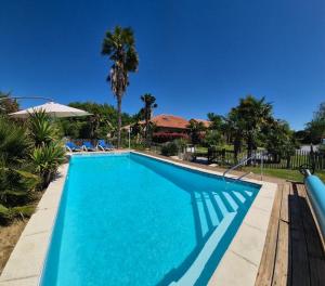 a large blue swimming pool with chairs and palm trees at renaissance larmane in Eugénie-les-Bains +4 photos