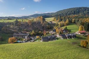 an aerial view of a village in the hills at Hotel Käppelehof in Lauterbach