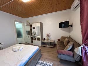 Un dormitorio con una cama, un sofá y un televisor. en Panoramic terace Victory boutique, en Bucarest