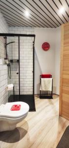 Apartment Mountain View with Private Sauna في باد هوفغاستين: حمام مع دش ومرحاض في الغرفة