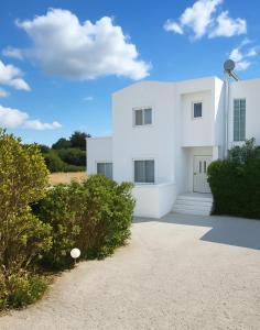 een wit huis met struiken ervoor bij Aegean Helios Houses in Gennadi