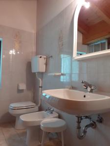 a bathroom with a sink and a toilet and a mirror at Villa Primula in Molveno +47 photos