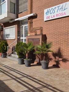 Φωτογραφία από το άλμπουμ του Hostal De la Rosa By Parque Warner Madrid σε Valdemoro
