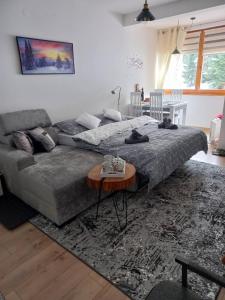 a bedroom with a bed and a couch and a table at Apartman Afano in Jahorina