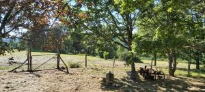 La bonne franquette في Saint-Pompont: أرجوحة في حقل به أشجار