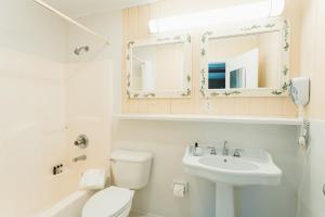a bathroom with a toilet and a sink and a mirror at Pine Needles Lodge in Southern Pines +12 photos