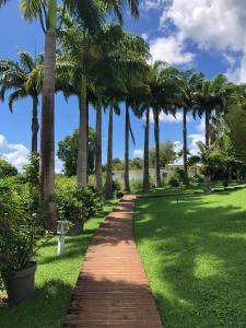 a path with palm trees in a park at L'Or des Caraibes in Sainte-Anne