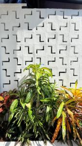 Κήπος έξω από το Me'Lawwa Studio -Private Pool-