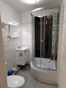 a bathroom with a shower and a toilet and a sink at Hotel Silonce Bilstein in Lennestadt