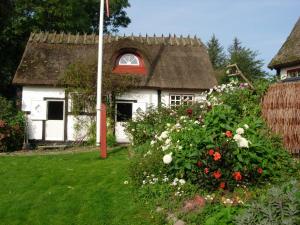 una piccola casa bianca con tetto di paglia e fiori di Travel back in time a Nyord