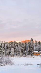 Φυσικό τοπίο κοντά σε αυτός ο ξενώνας +29 φωτογραφίες