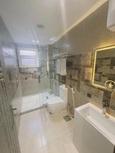 um banheiro com chuveiro, vaso sanitário e pia em pyramids heaven hotel- فندق جنة الاهرامات em Giza