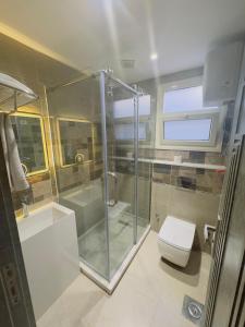 um banheiro com chuveiro e vaso sanitário em pyramids heaven hotel- فندق جنة الاهرامات em Giza