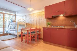 Køkken eller tekøkken på Alpine Terrace Apartment - Grand Maison