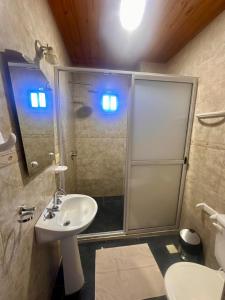 a bathroom with a shower and a sink at Mandua in Puerto Iguazú
