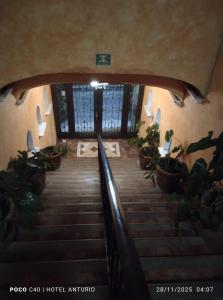 Galería fotográfica de Anturio Express en Cuernavaca