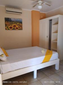 Galería fotográfica de Anturio Express en Cuernavaca