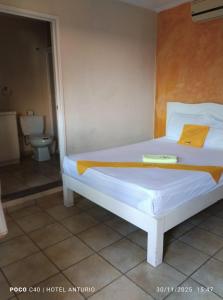 Galería fotográfica de Anturio Express en Cuernavaca