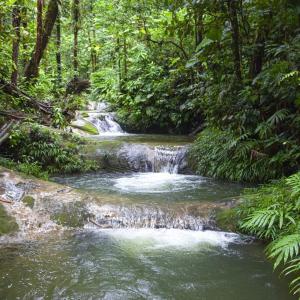 Φυσικό τοπίο κοντά σε αυτό το ξενοδοχείο +5 φωτογραφίες