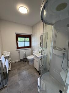 a bathroom with a shower and a toilet and a sink at Waldhaus Weißwasser in Weißwasser