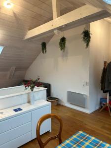 a living room with a table and a chair at La Pistacherie à 30m de la plage de Grande Rive in Évian-les-Bains +40 photos