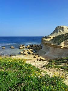 Φυσικό τοπίο κοντά σε αυτό το διαμέρισμα +20 φωτογραφίες