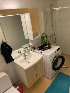a bathroom with a sink and a washing machine at Leilighet i Sør-Fron kommune in Sør-Fron