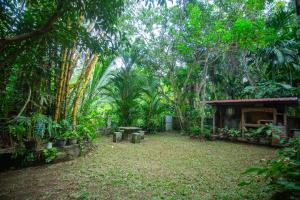 Κήπος έξω από το Golden Villa Hikkaduwa