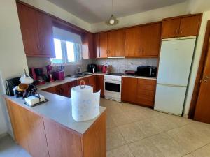 een keuken met houten kasten en een witte koelkast bij Aegean Helios Houses in Gennadi +11 foto's