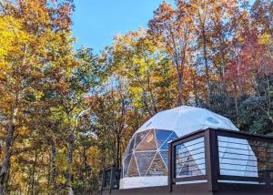 a dome house on a roof with trees in the background at Sutjeska Glamping Domes in Tjentište