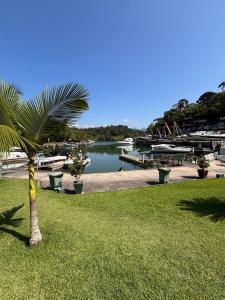 a palm tree in the grass next to a marina at Refúgio em Angra com Praia Privativa in Angra dos Reis
