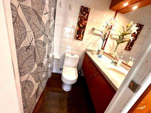 a bathroom with a toilet and a sink at sanhatan in Santiago +25 photos