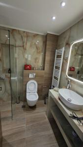 a bathroom with a toilet and a sink and a shower at K & V apartments in Amfiklia