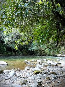 Posadas entre el Bosque-Manacus的背景为岩石和树木的河流