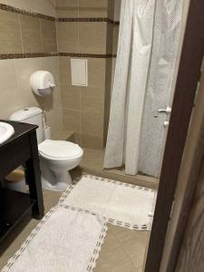 a bathroom with a toilet and a shower and a sink at Green Point Studio O12 in Chepelare