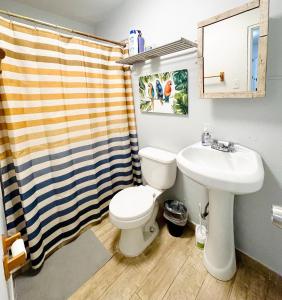 Ένα μπάνιο στο Rain Forest House by Otium