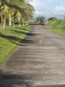 Φυσικό τοπίο κοντά σε αυτή η παραθεριστική κατοικία