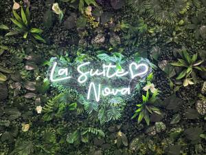 a sign that says a subtle nova on some plants at La suite Nova - Jacuzzi in Valenciennes
