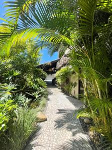 Κήπος έξω από το Casa Mar Villas