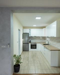 Η κουζίνα ή μικρή κουζίνα στο Ilic House