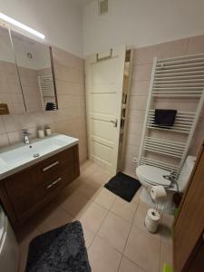 un bagno con lavandino, WC e specchio di Vince apartman a Pécs