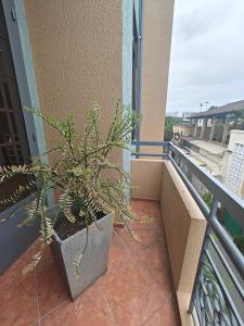 een potplant op het balkon van een gebouw bij Lux saigon airport in Ho Chi Minh-stad