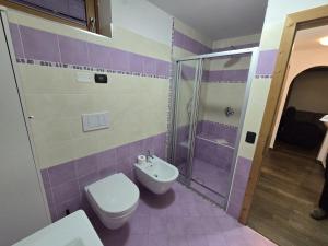 a bathroom with a toilet and a shower at Appartamento Rita in Pozza di Fassa