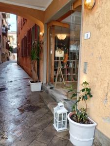 zwei Topfpflanzen außerhalb eines Gebäudes in der Unterkunft Hotel Sole in Orbetello