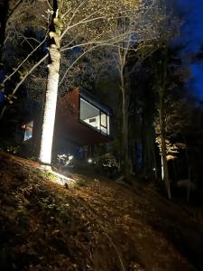 a glass house in the woods at night at Hortensia 7 in La-Roche-en-Ardenne +4 photos