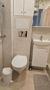 a small bathroom with a toilet and a sink at Kambarių nuoma Kaune Taikos pr in Kaunas