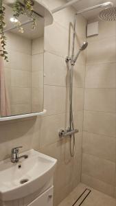a bathroom with a shower and a sink at Kambarių nuoma Kaune Taikos pr in Kaunas