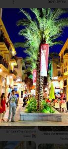Eine Palme auf einer Stadtstraße bei Nacht in der Unterkunft Irooms770-Mamad downstairs in Haifa