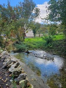 a stream with rocks in a field with trees at Golden Spa Villa in Bihać